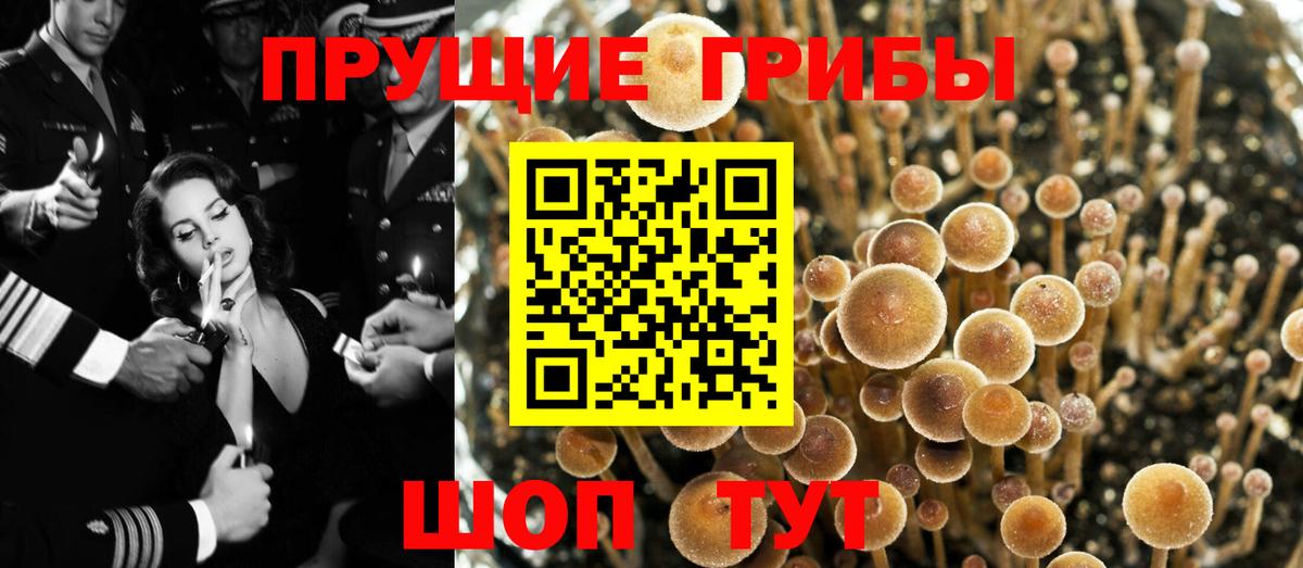 Псилоцибиновые грибы мухоморы  Вход с VPN  Орёл 
