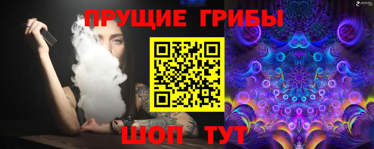 Псилоцибиновые грибы Psilocybe Орёл